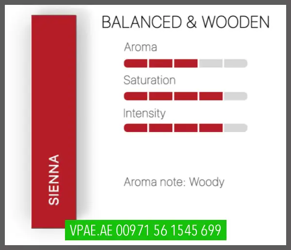 Sienna seletion heets pack of 10 - (200 HeatSticks) OV Store Arab Emirates Heets